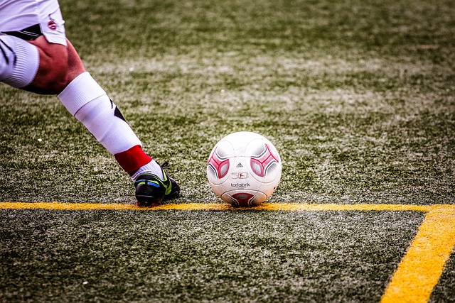 更好地发挥 更好地发挥