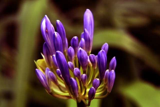 动营造更健 动营造更健