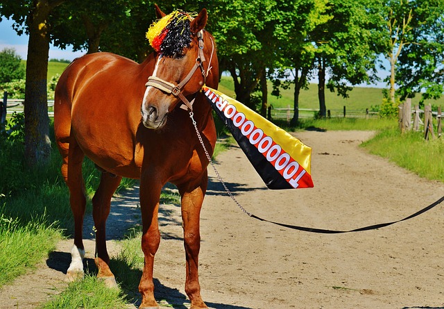 尽管球队拥 尽管球队拥