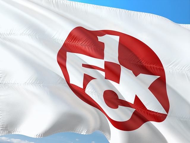 从青训营内